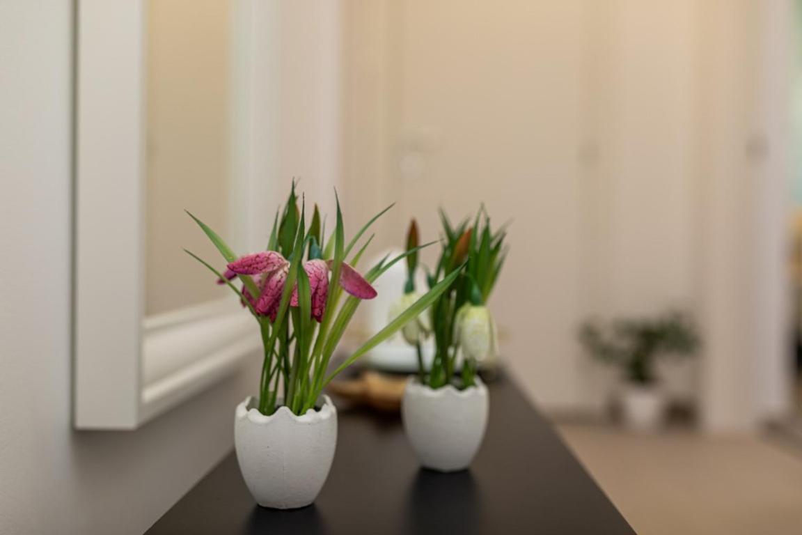 Apartman Grzetic Silo  Bagian luar foto